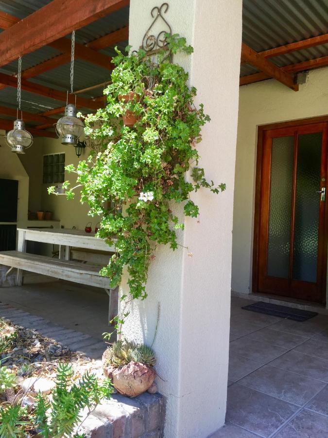 Pane Vivente Garden Cottage Beaufort West Exterior foto