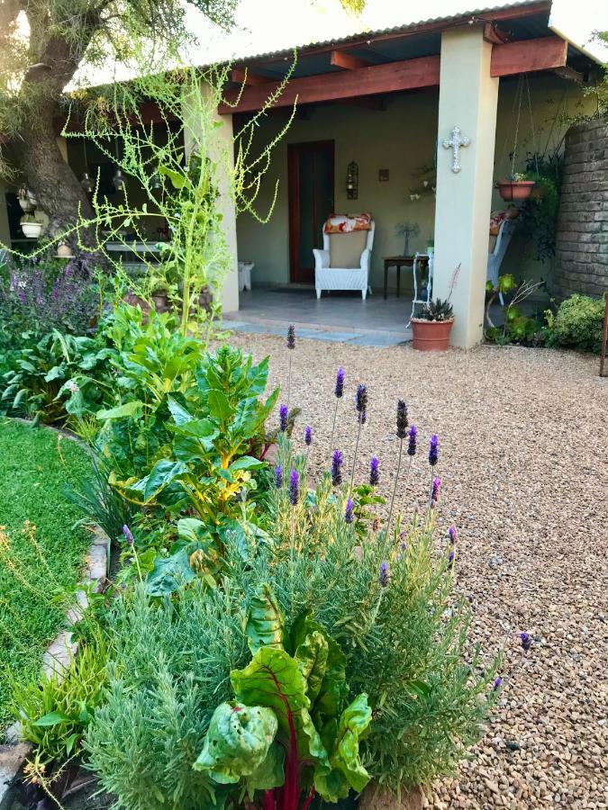 Pane Vivente Garden Cottage Beaufort West Exterior foto